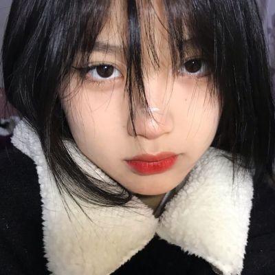 yaboapp手机app下载