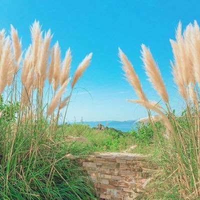 手游赏金女王免费下载