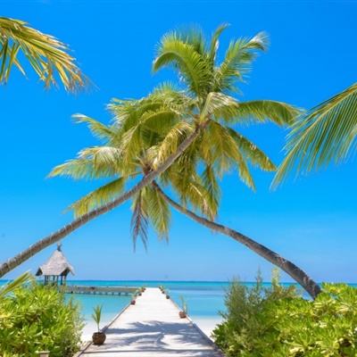 pk10赛车下载手机版