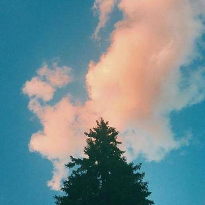 乐发ll彩票app下载