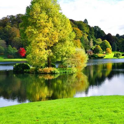 bob半岛·体育中国官方网站