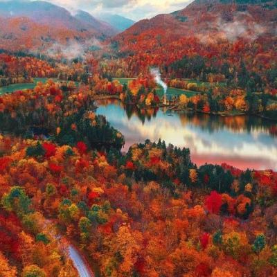 ag入口官网登录下载手机版