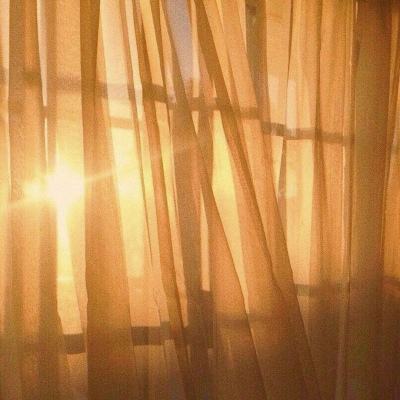 博鱼中国官网下载入口