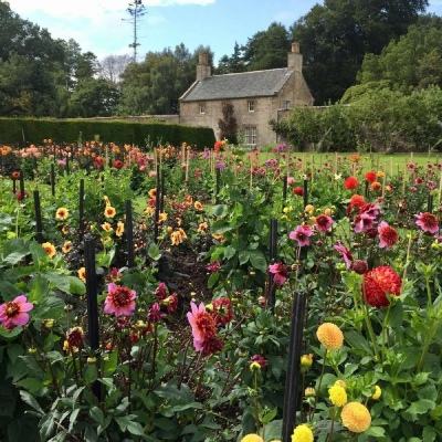 博盈娱乐手机app下载截图