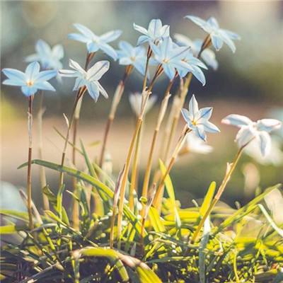 斗牛游戏大厅下载手机版