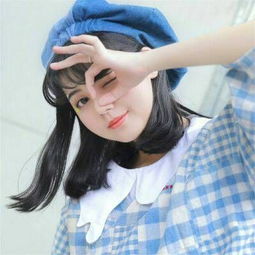 加拿大pc软件平台下载手机版