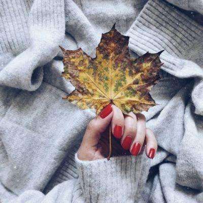 宝威体育下载手机版