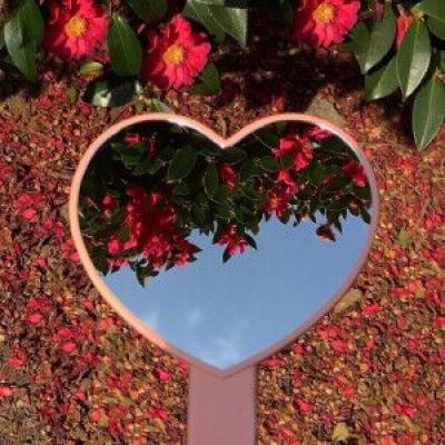 永盈会手机版下载手机版