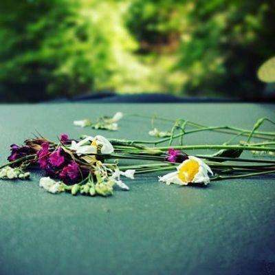 金年会体育APP下载