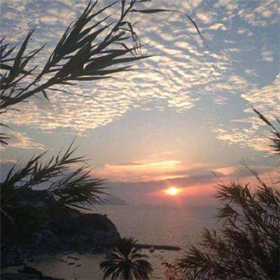 开元体育··官方网站