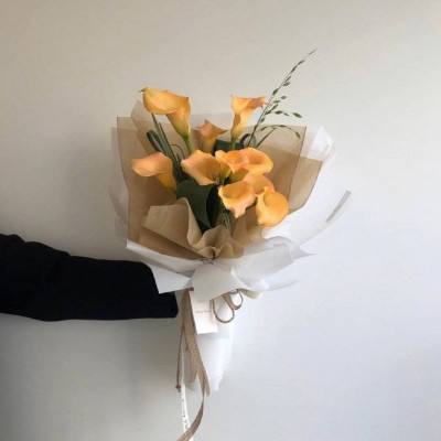 乐虎国际下载手机版