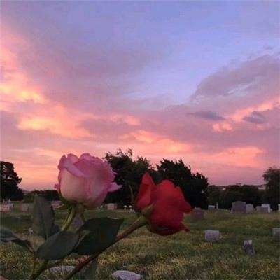 leyu·乐鱼app下载