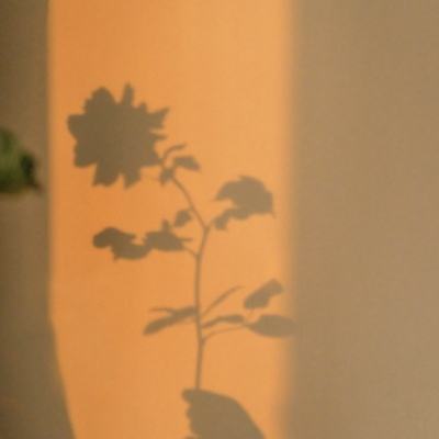 半岛官网入口网页版