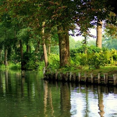 新万博在线体育