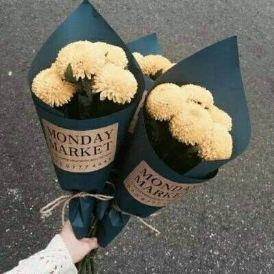 老皇冠登录入口welcome