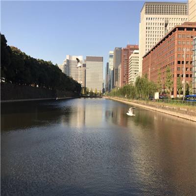 manbet手机版官网