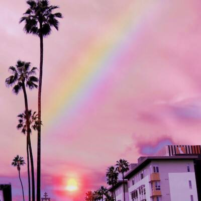 汇彩网登录大厅