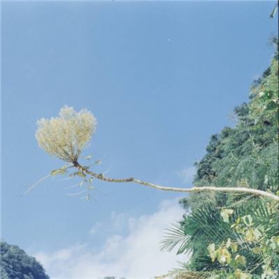 星空下载下载手机版