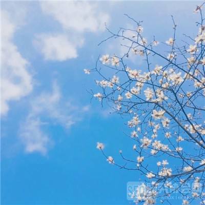 CQ9电子手机app下载