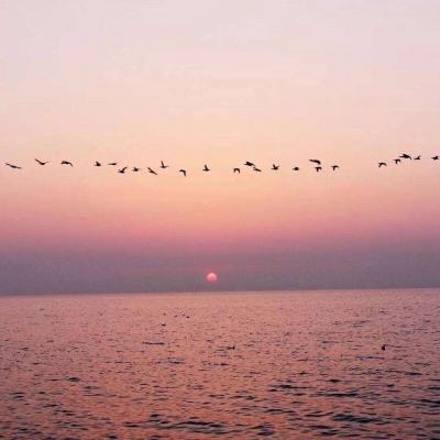 hth体育官方网站