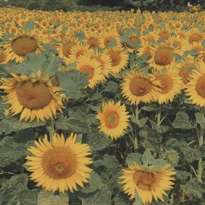 万博全站(Manbetx)