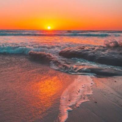 澳门新葡萄新京8883下载手机版