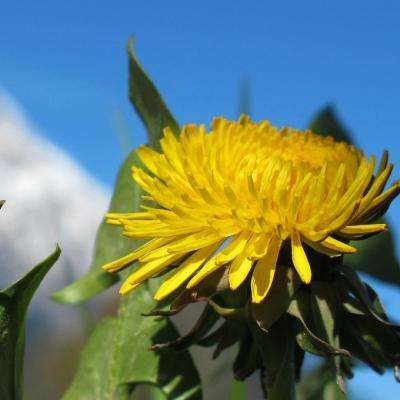 彩神app下载-登录入口