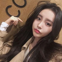 Bsport体育手机在线登录入口