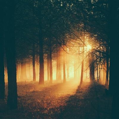 BOB体育登录入口APP下载ios