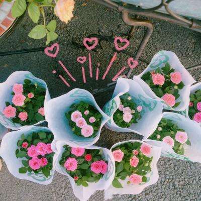 博鱼app手机app下载