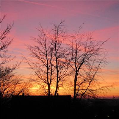 pg麻将胡了网站入口