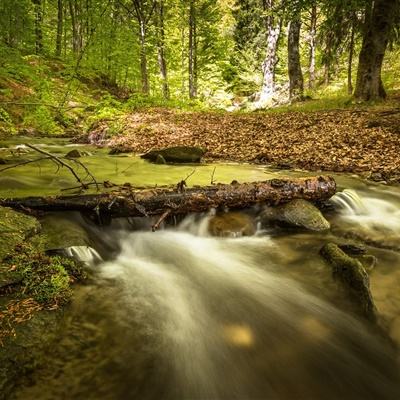 牛牛游戏网下载手机版