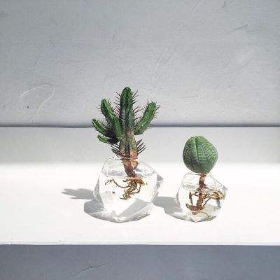 im电竞官方官网下载手机版