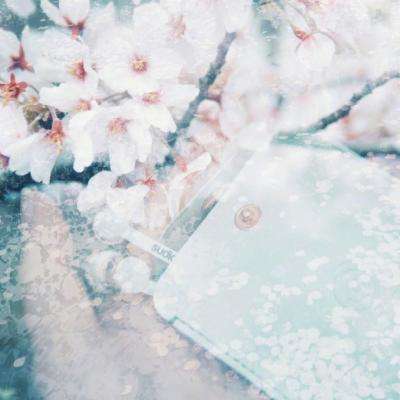 澳门人威尼斯3966下载手机版