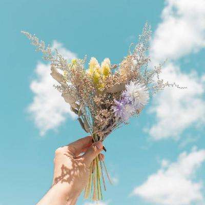 ag真人国际官网下载手机版