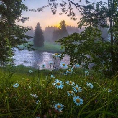 365体育官方唯一入口下载手机版