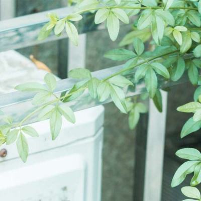 大发dafa888手机app下载