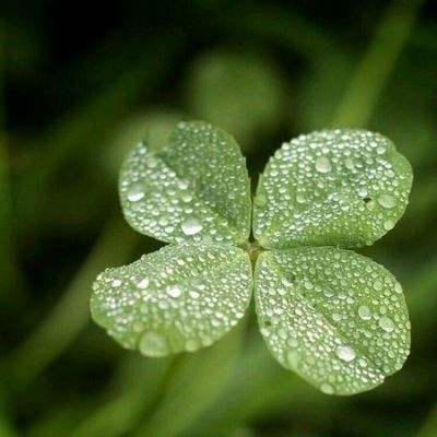 b体育安卓下载官网截图