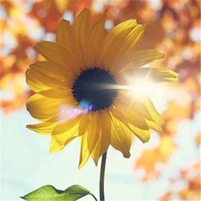 百姓彩票下载中心