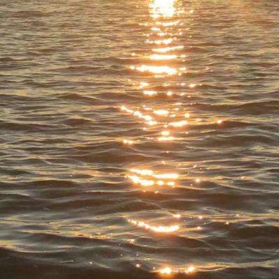 小罗米乐M6官网登录正版下载